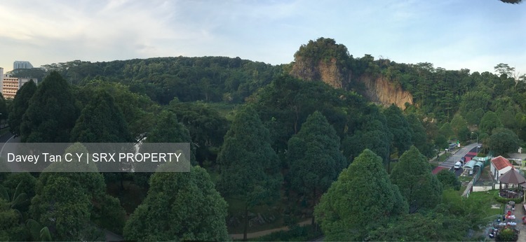 Guilin View thumbnail photo